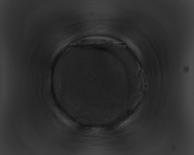 X0000091880493200710031124