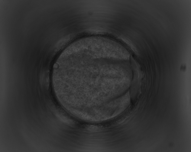 X0000091880494200710031124