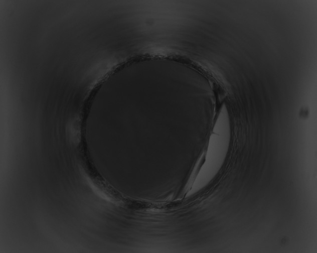 X0000091880496200710031124