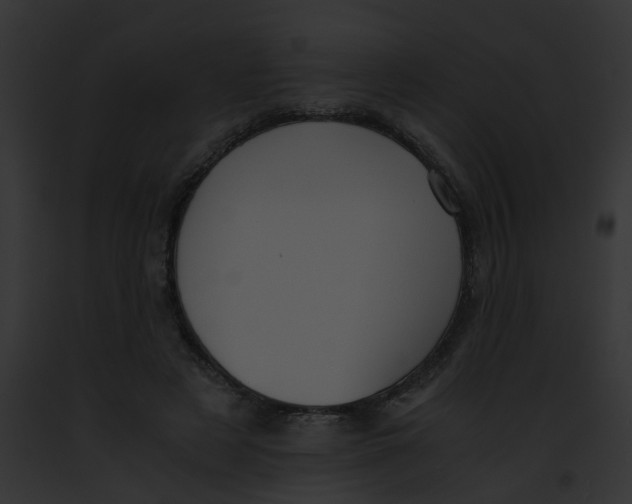 X0000091880497200710031124