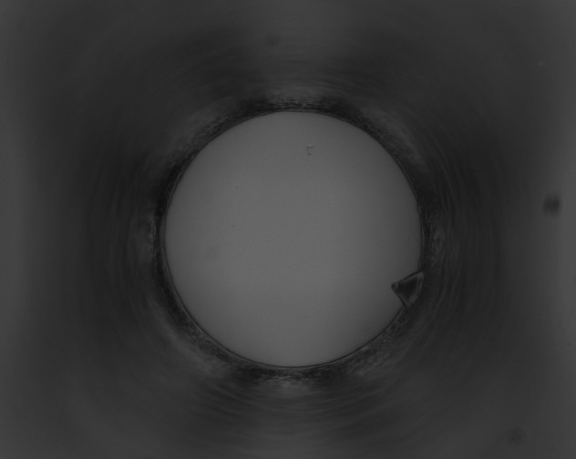 X0000091880498200710031124