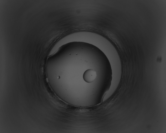 X0000091880501200710031124