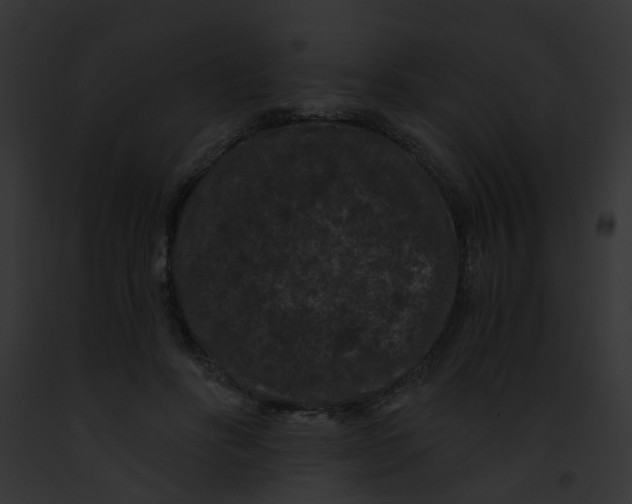 X0000091880502200710031124