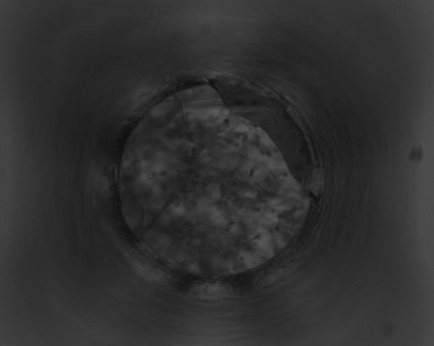 X0000091880503200710031124