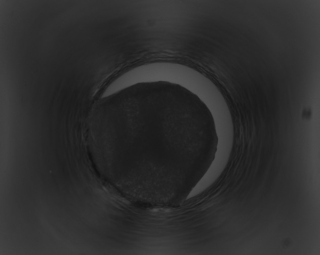 X0000091880508200710031124