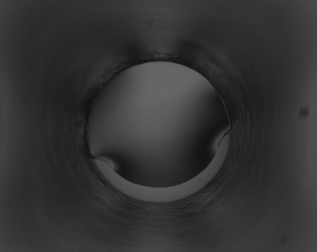 X0000091880509200710031124