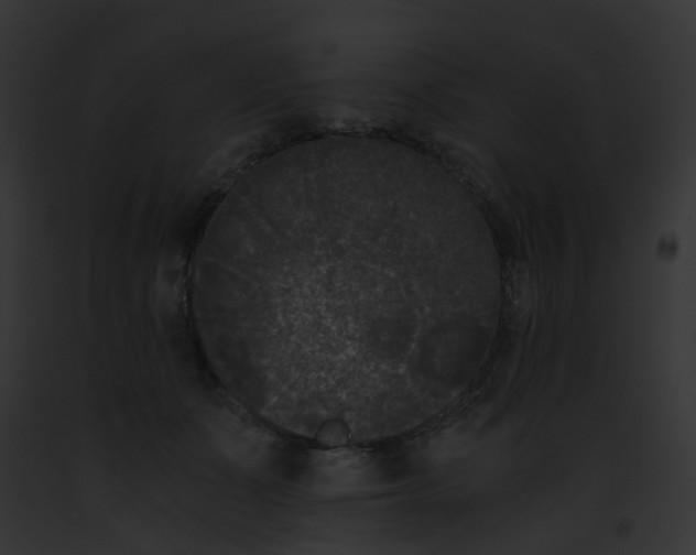 X0000091880511200710031124