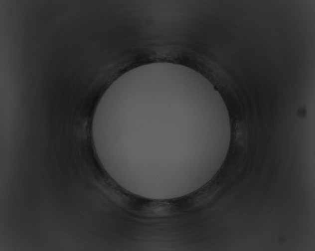 X0000091880514200710031124