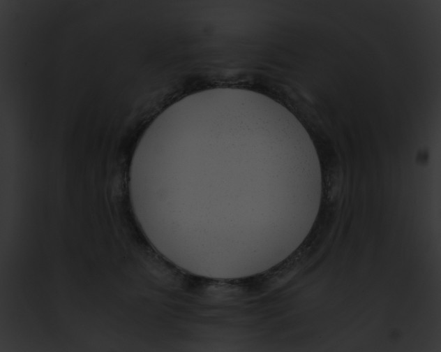 X0000091880515200710031124