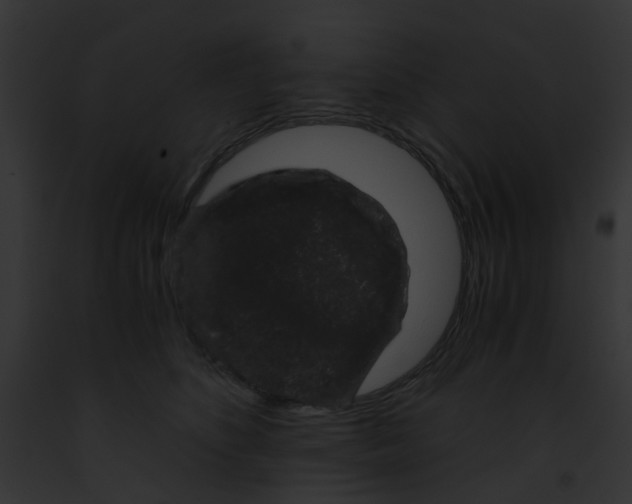 X0000091880516200710031124