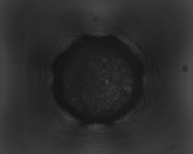 X0000091880517200710031124