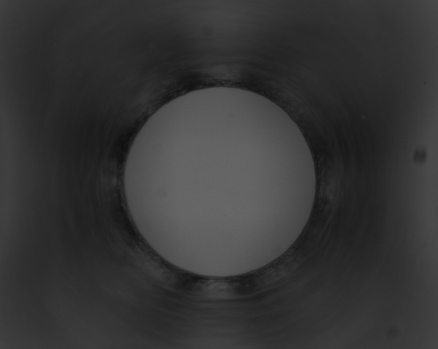 X0000091880518200710031124