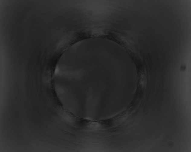 X0000091880519200710031124