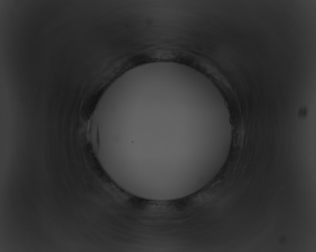 X0000091880521200710031124