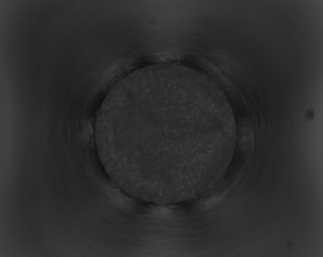 X0000091880523200710031124