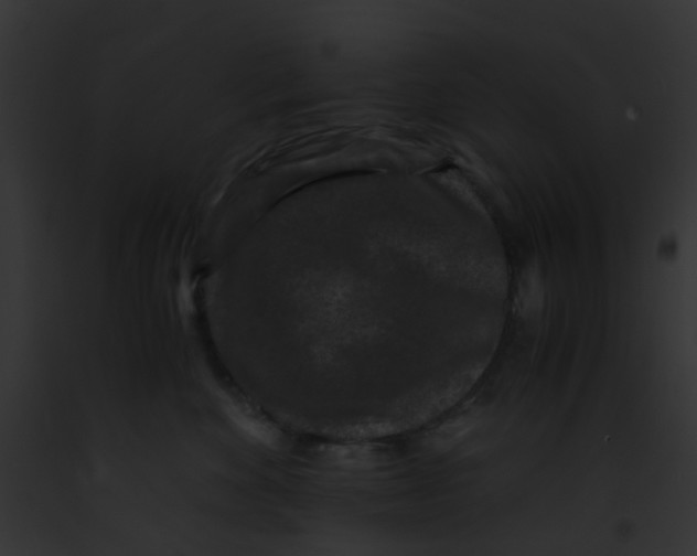 X0000091880524200710031124