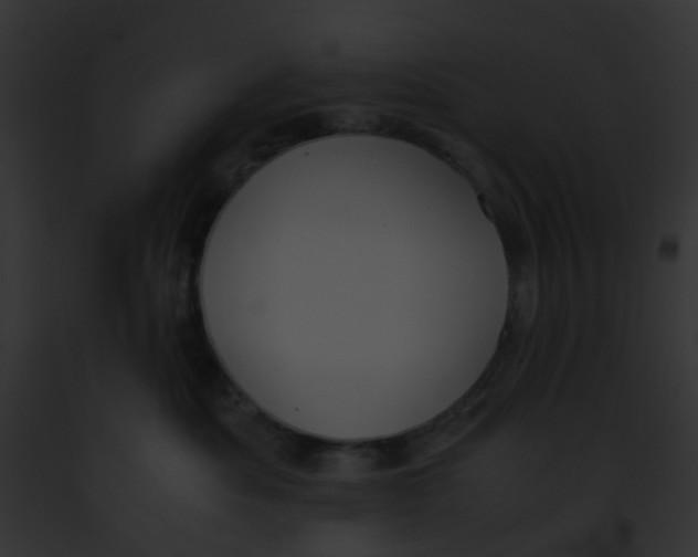 X0000091880525200710031124