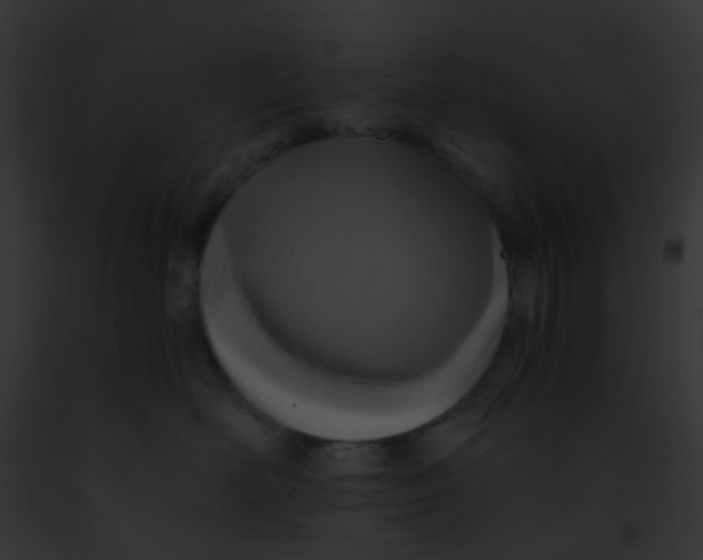 X0000091880526200710031124