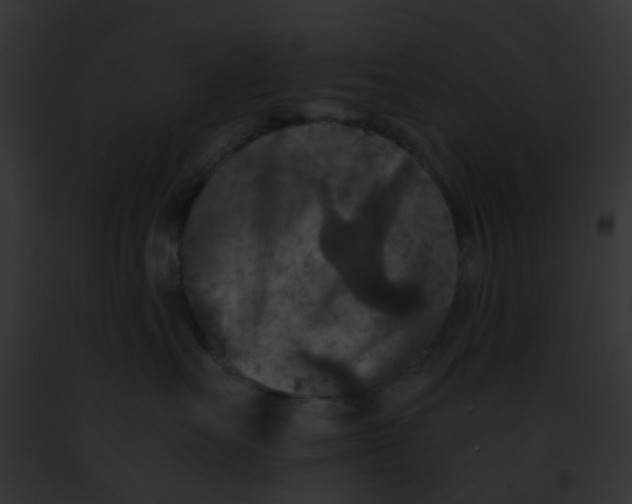 X0000091880527200710031124