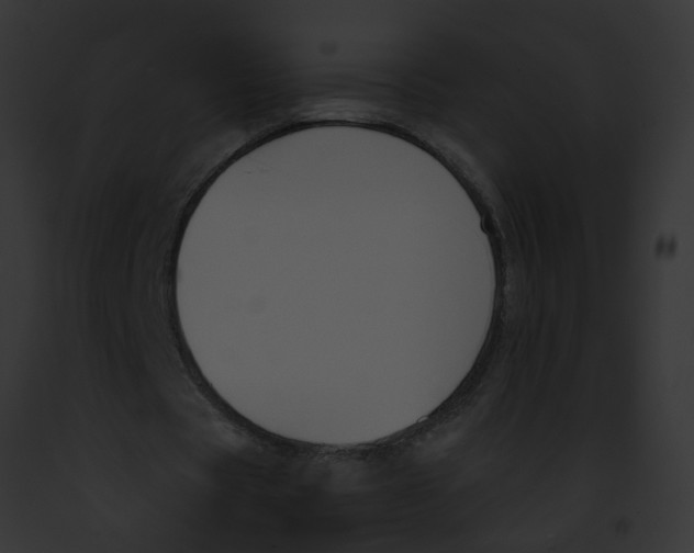 X0000091880529200710031123