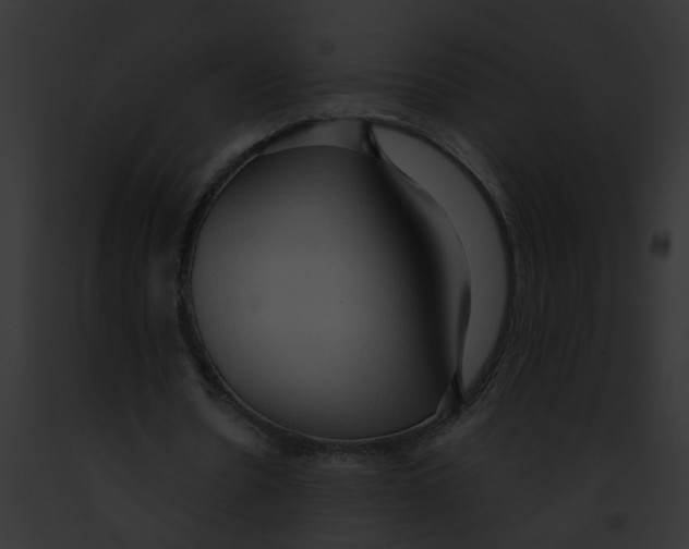 X0000091880530200710031123