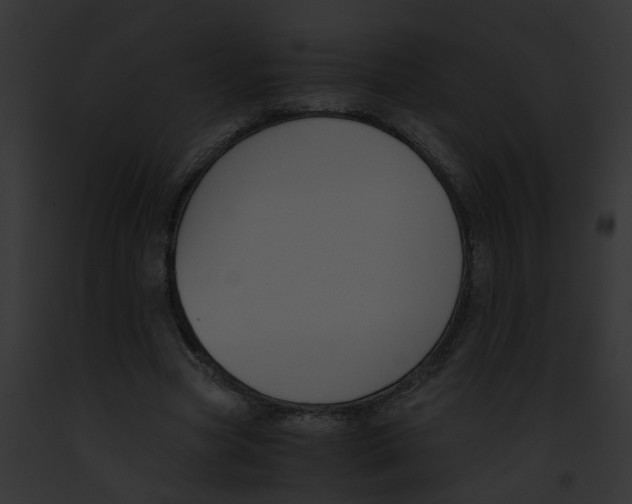 X0000091880537200710031123