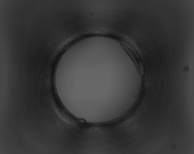 X0000091880538200710031123