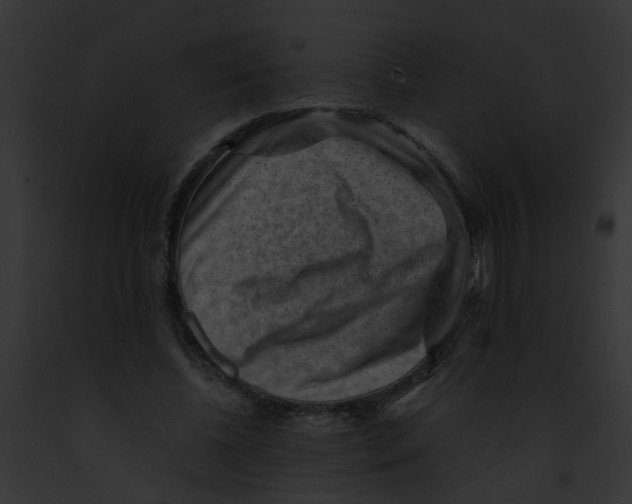 X0000091880540200710031123