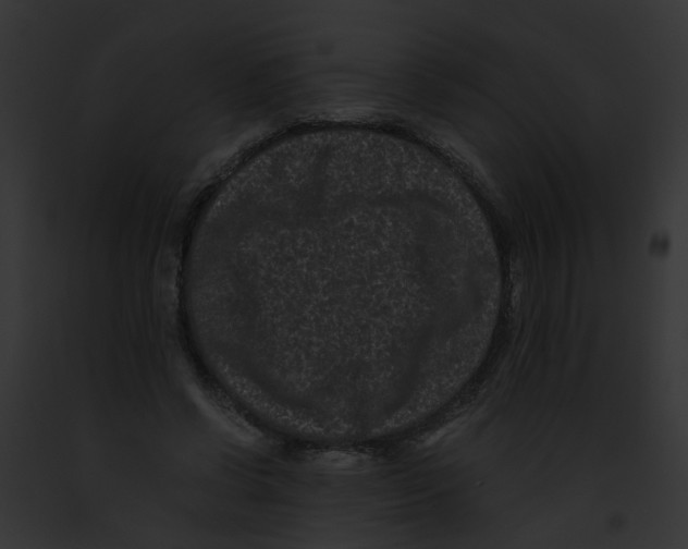 X0000091880542200710031123