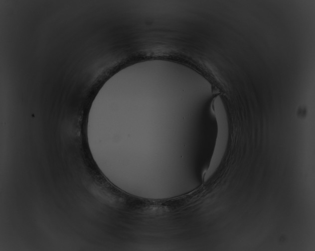 X0000091880543200710031123