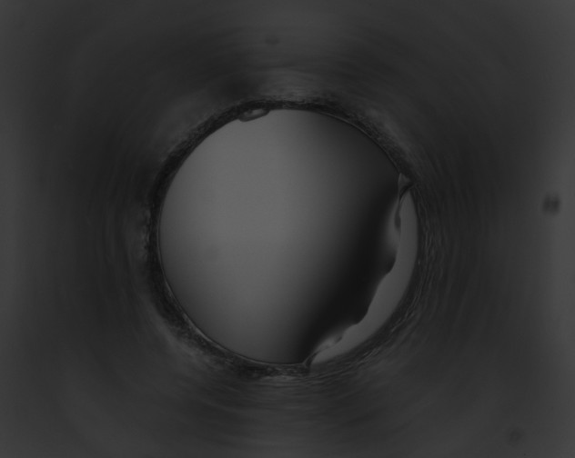 X0000091880544200710031123