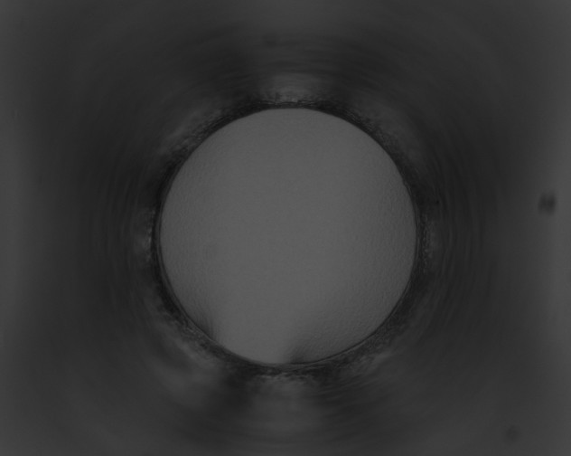 X0000091880545200710031123