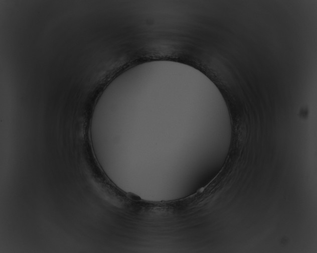 X0000091880546200710031123