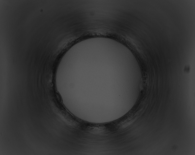 X0000091880548200710031123