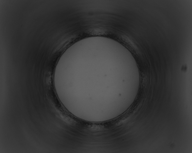 X0000091880549200710031123