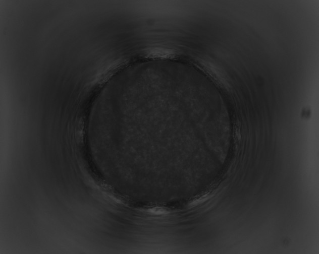 X0000091880551200710031123