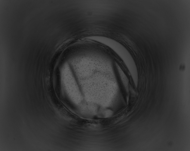 X0000091880552200710031123