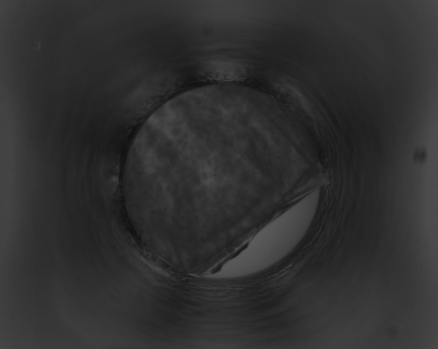 X0000091880553200710031123