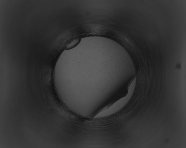 X0000091880554200710031123