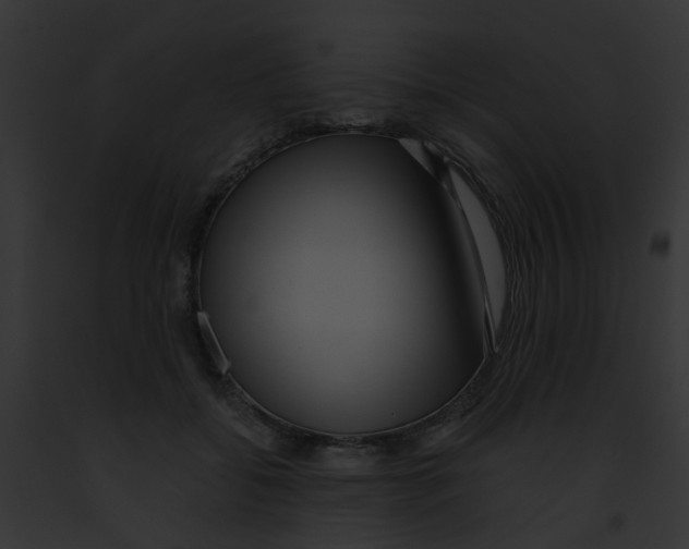 X0000091880556200710031123