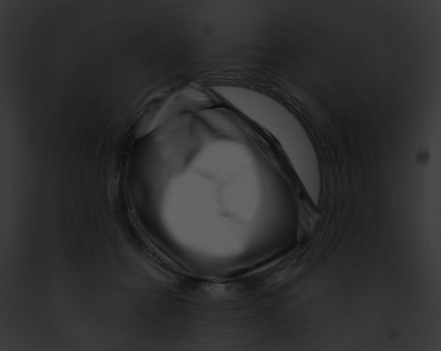 X0000091880558200710031123