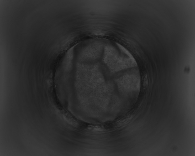 X0000091880559200710031123