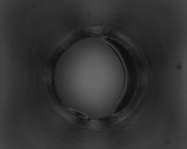 X0000091880562200710031123