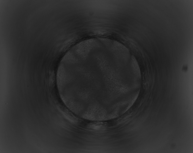 X0000091880563200710031123