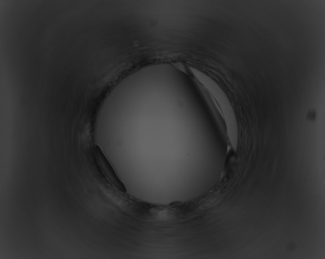 X0000091880564200710031123