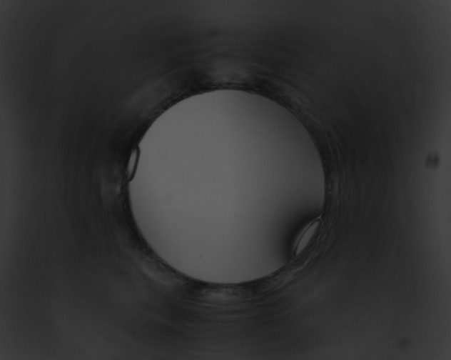 X0000091880567200710031123