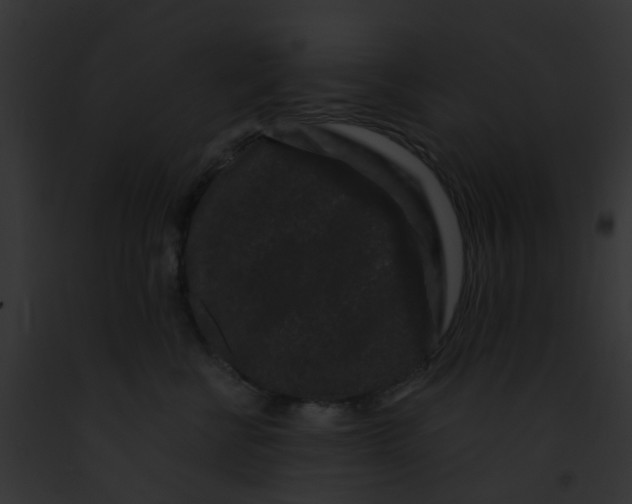 X0000091880570200710031123