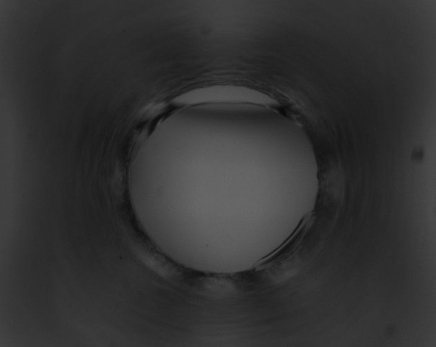 X0000091880572200710031123