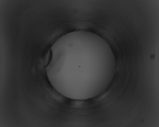 X0000091880575200710031123