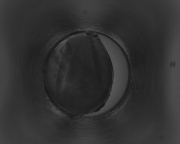 X0000091880577200710031123